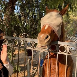 Meet your Posher, Nabeehah